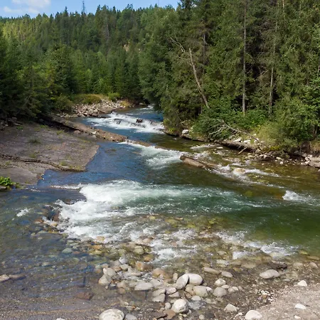 Πανσιόν Pod Hawraniem Z Widokiem Na Tatry & Bike Friendly 3*
